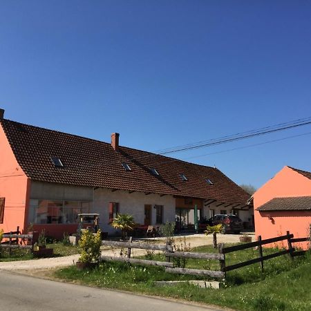 Gite Chez Marcel Et Bea La Chapelle-Saint-Sauveur  エクステリア 写真